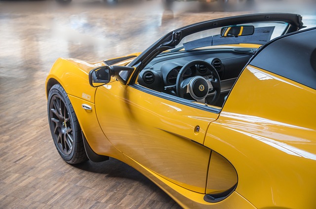 lotus-5407670_640